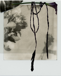 Strung Along Ribbon Scarf